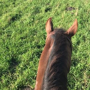 Meet your Posher, Shianne